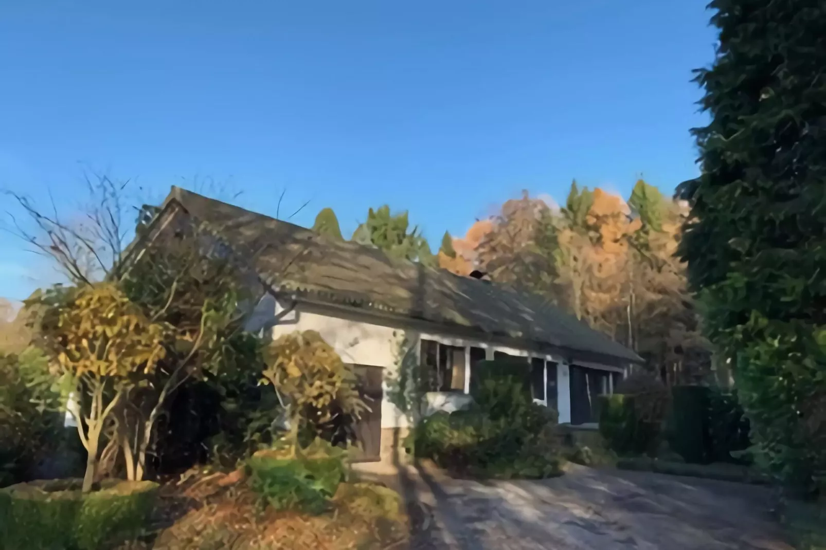 La maison du fagnard-Exterior summer