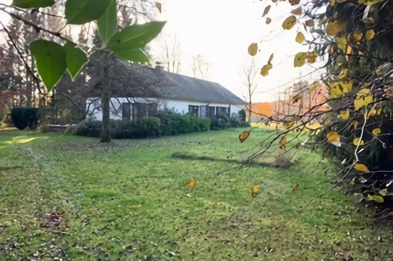 La maison du fagnard-Gardens summer