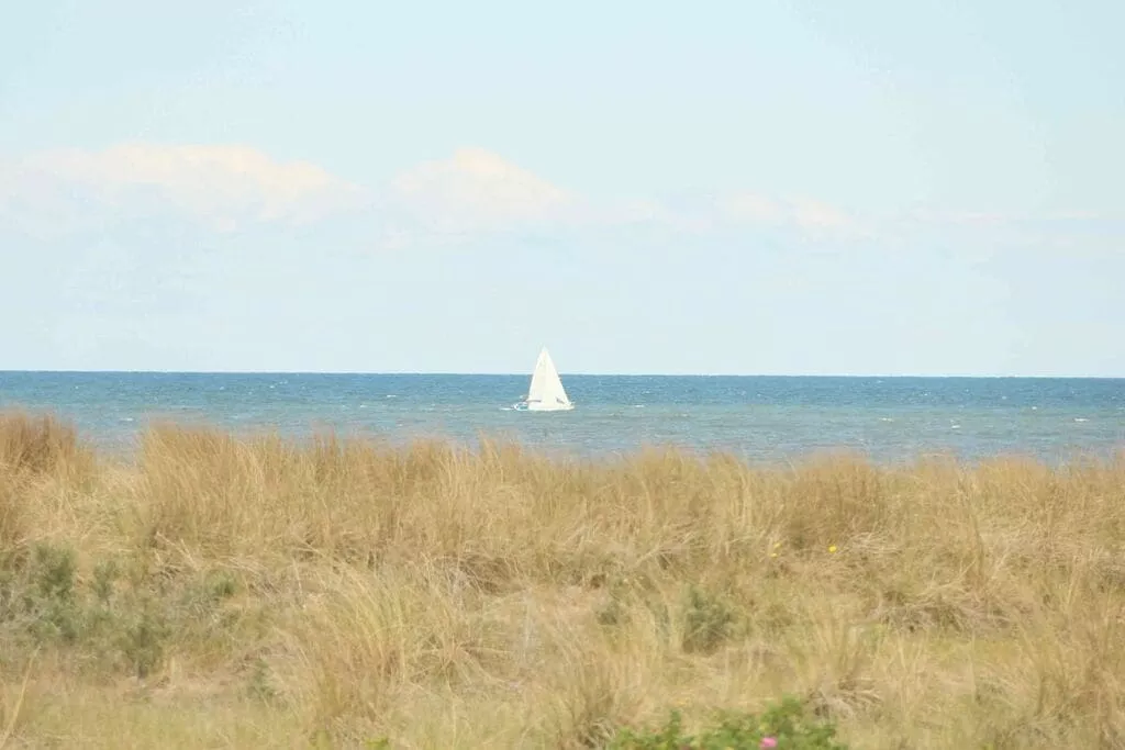86233-View