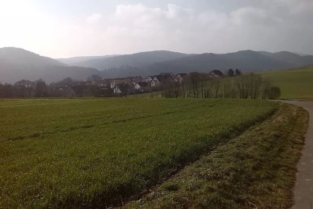 191066-View