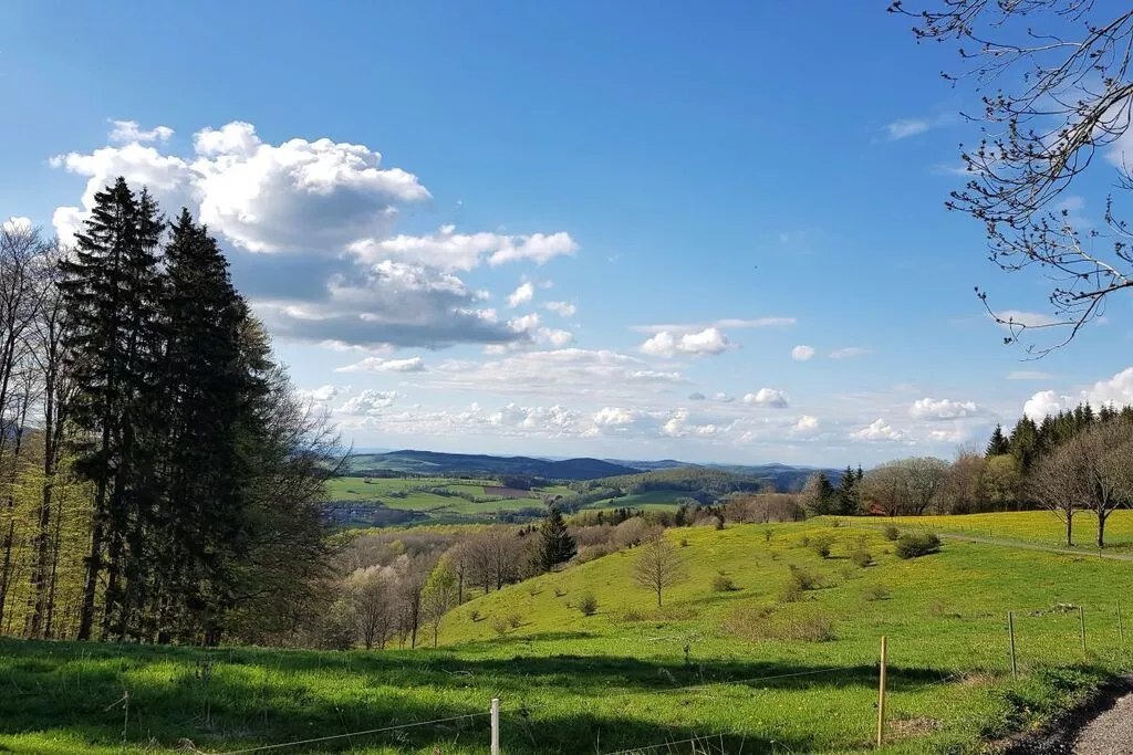 47937-View