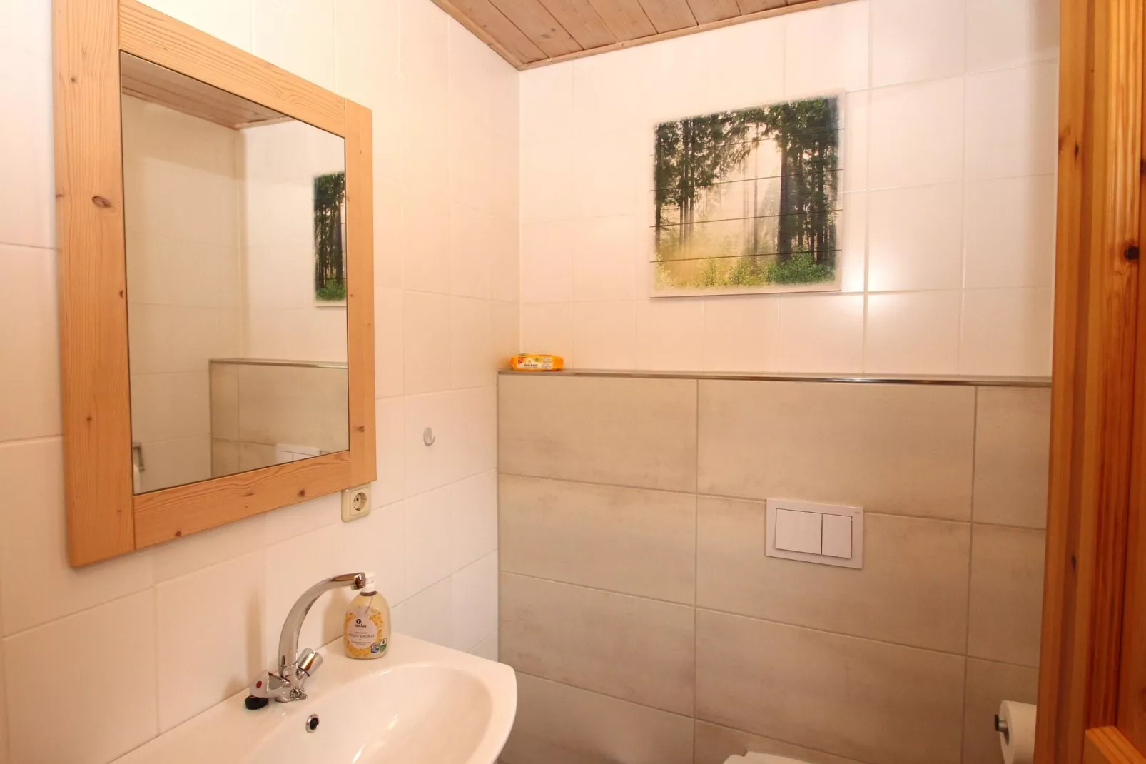 Ferienhaus in Hasselfelde - Haus 515 Auerhahn-Bathroom
