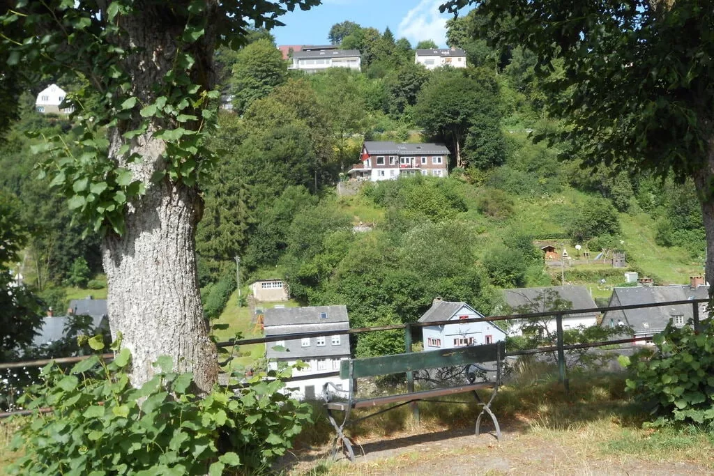 71025-View