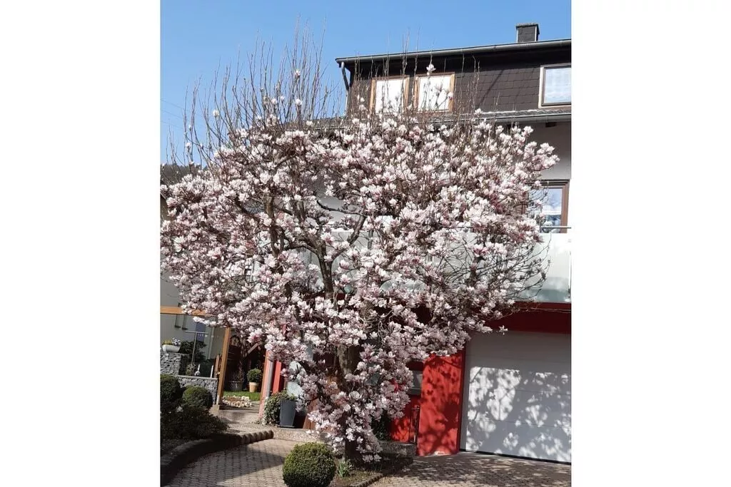 39290-Nicht getaggt