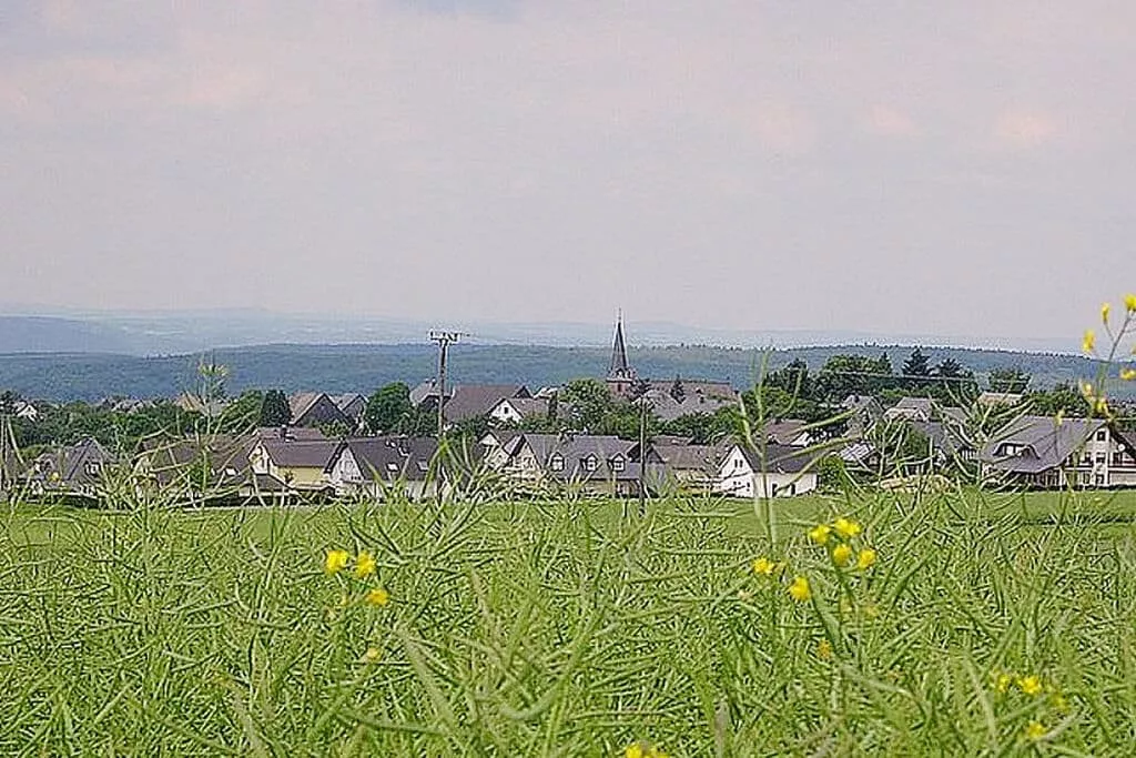 21862-View