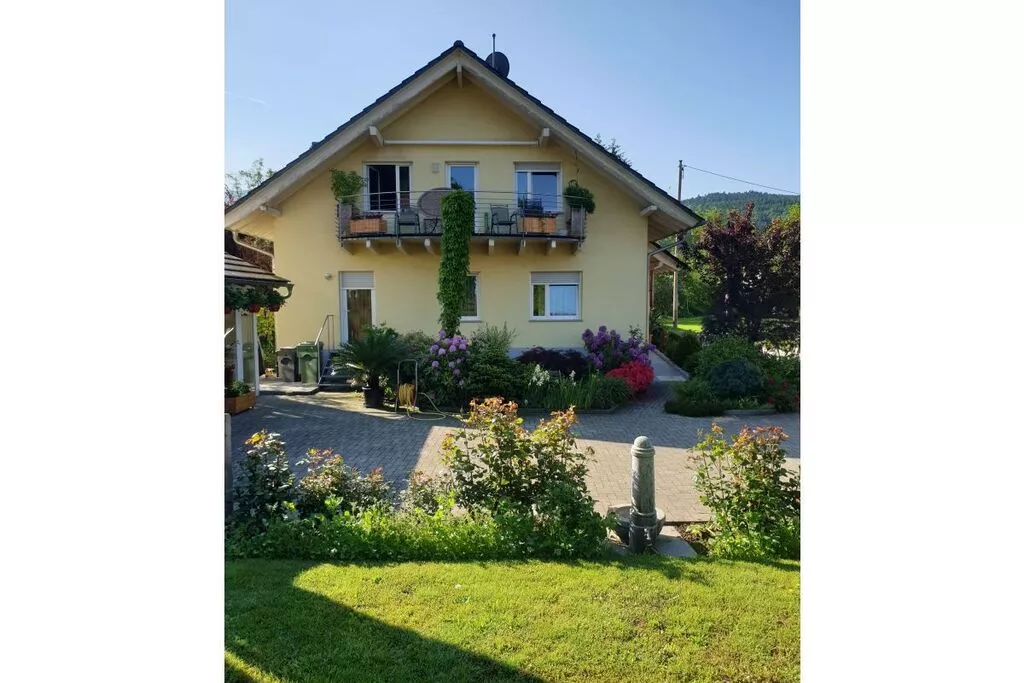 38623-View