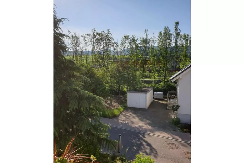 38623-View