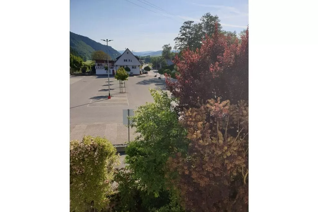 38623-View