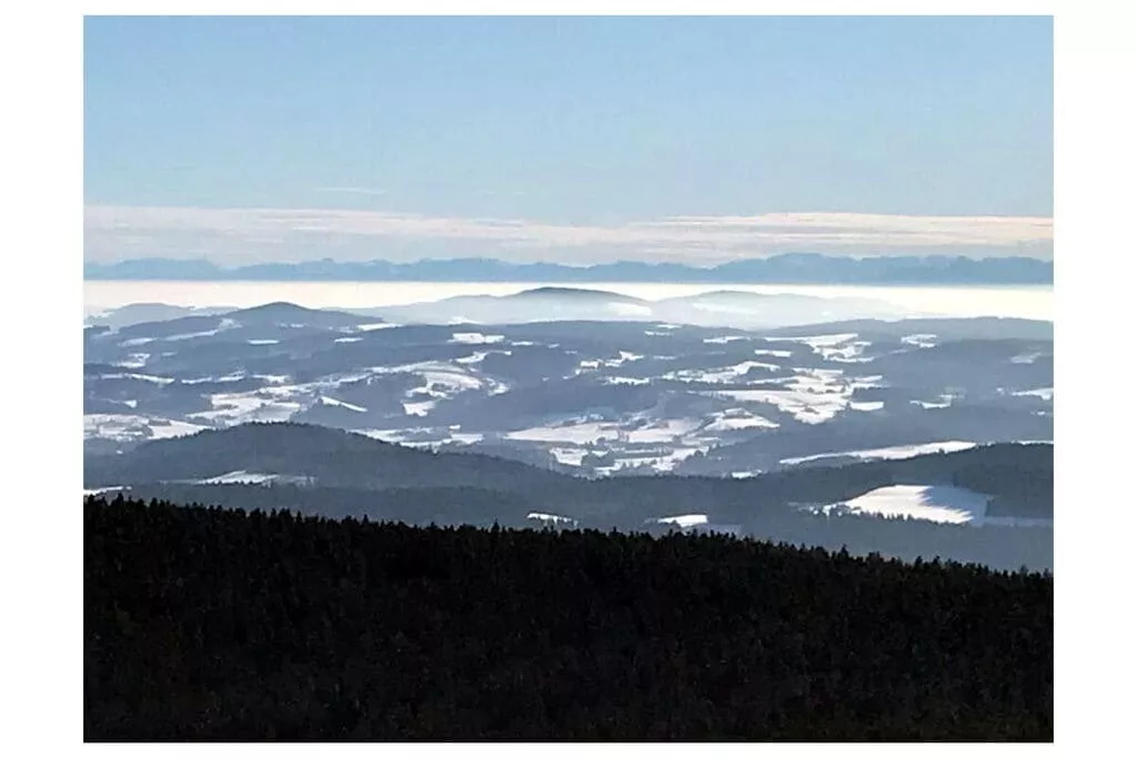 32411-View
