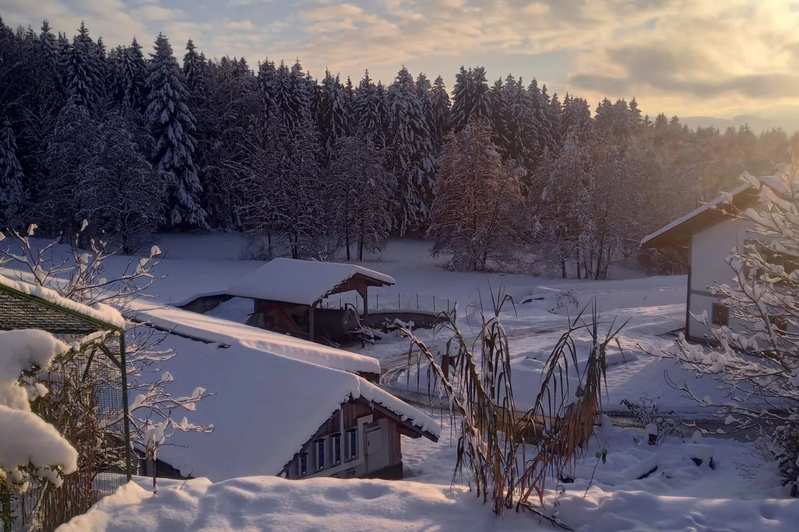 Ferienwohnung Holzfurtner-Aussicht Winter