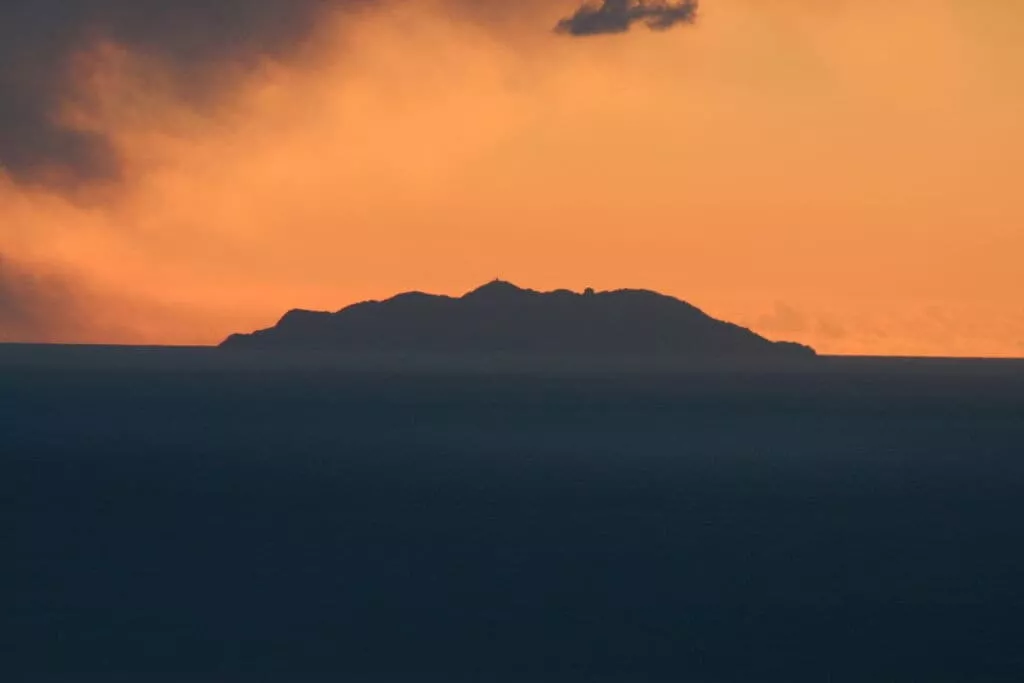 50425	-View