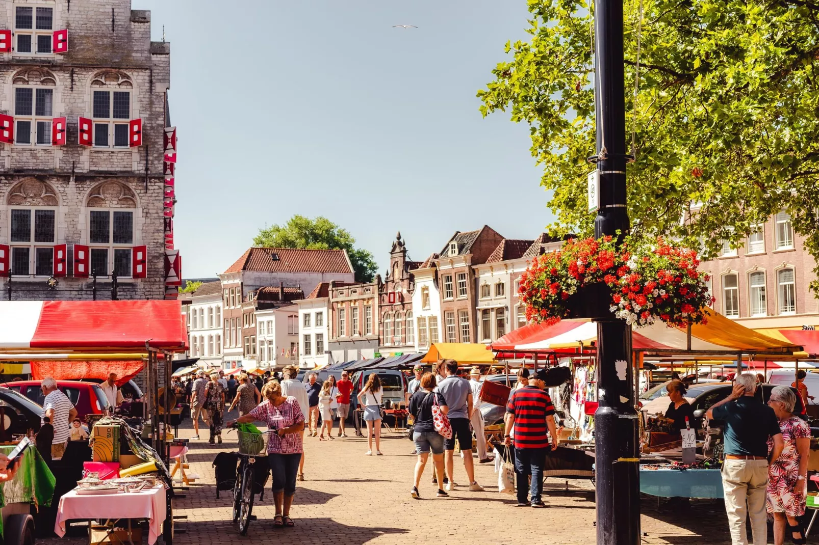 Vakantiepark Cape Helius 16-Areas summer 20km