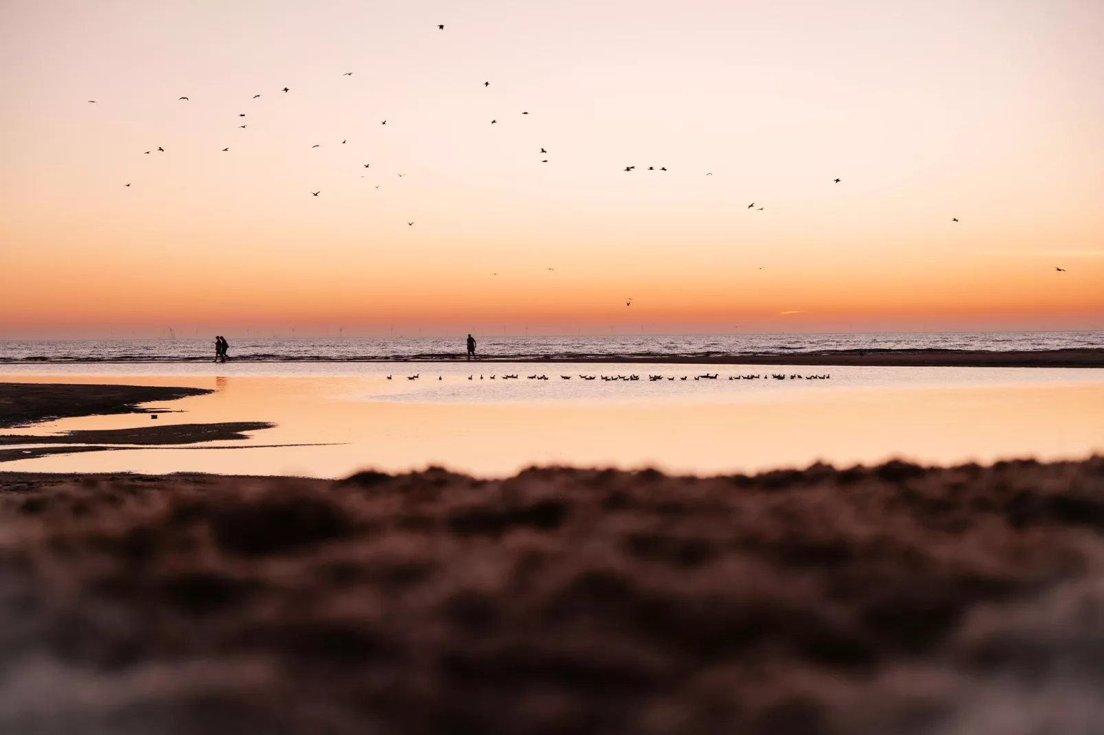 Vakantiepark Cape Helius 16-Areas summer 20km