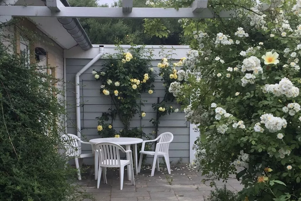 259612-Terrasse