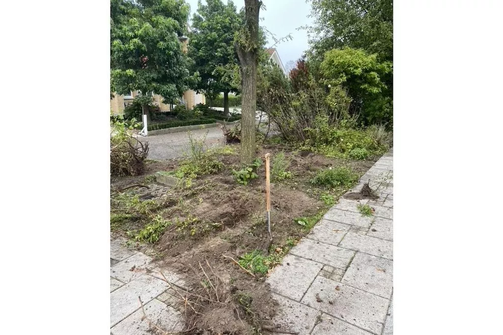 259612-Non étiqueté
