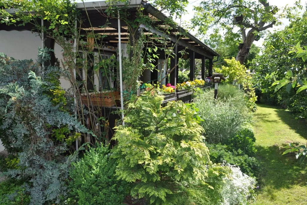 25720-Terrace