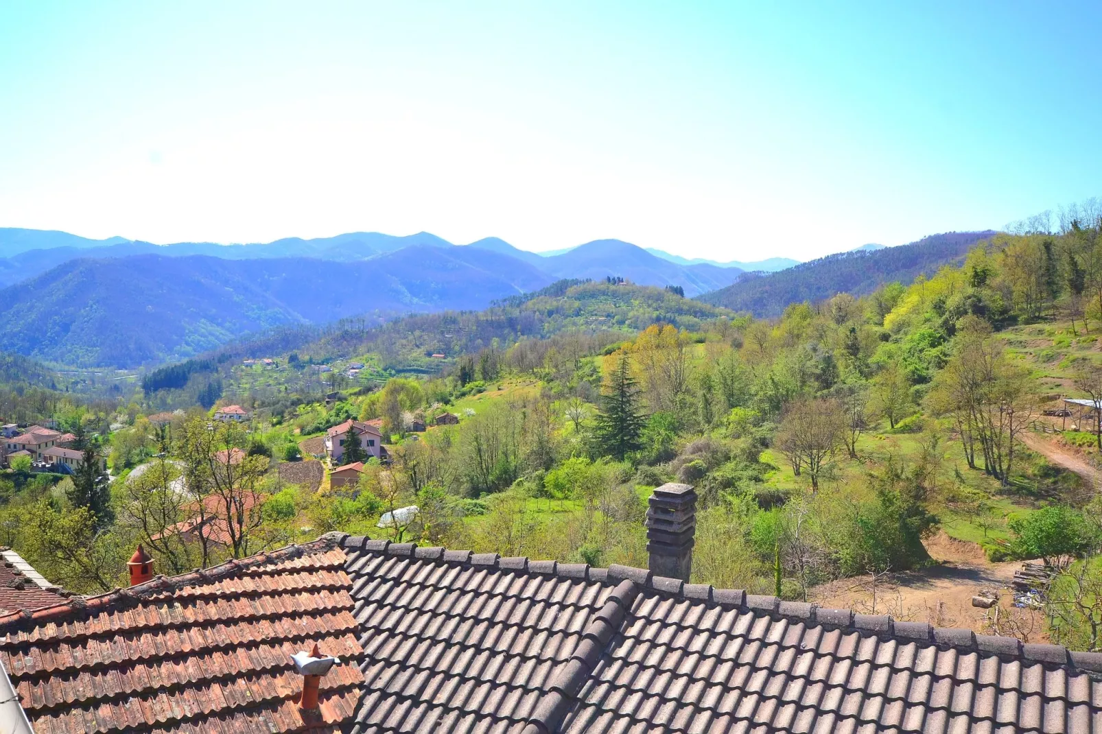 Rio Uno-View summer