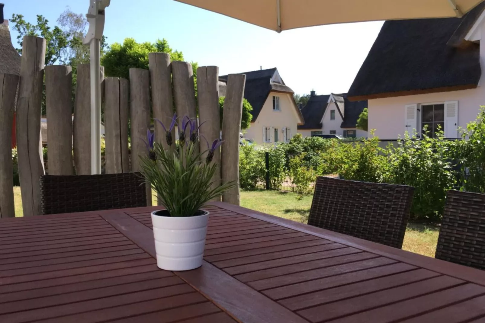 231620-View summer