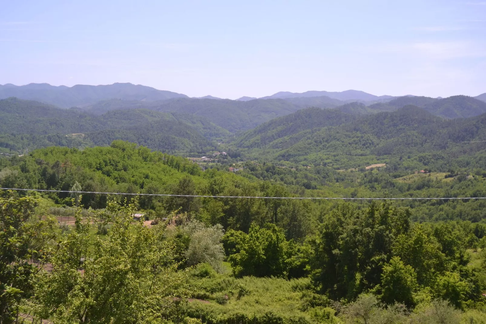 Angie-View summer