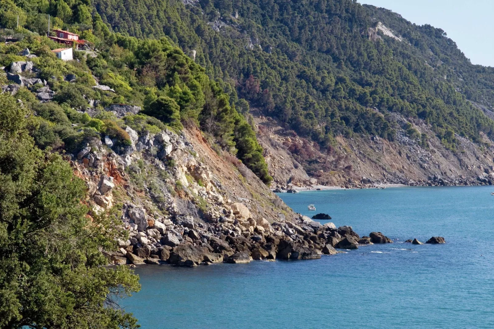 Angie-Areas summer 20km