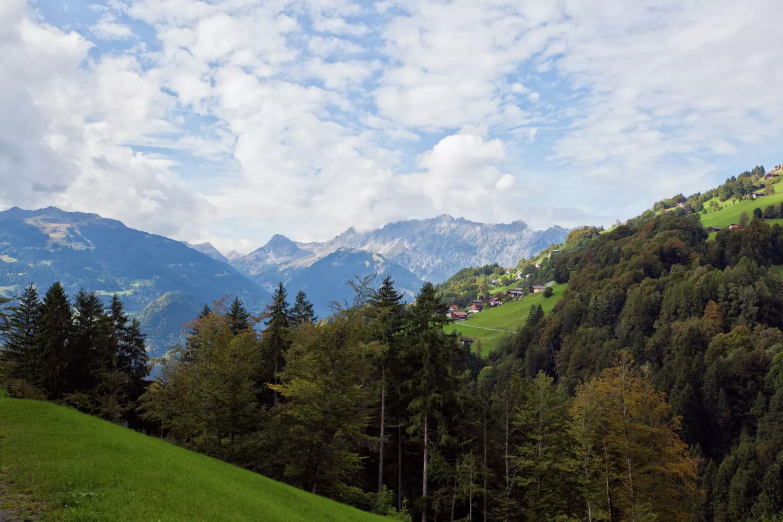 Maier-Areas summer 5km