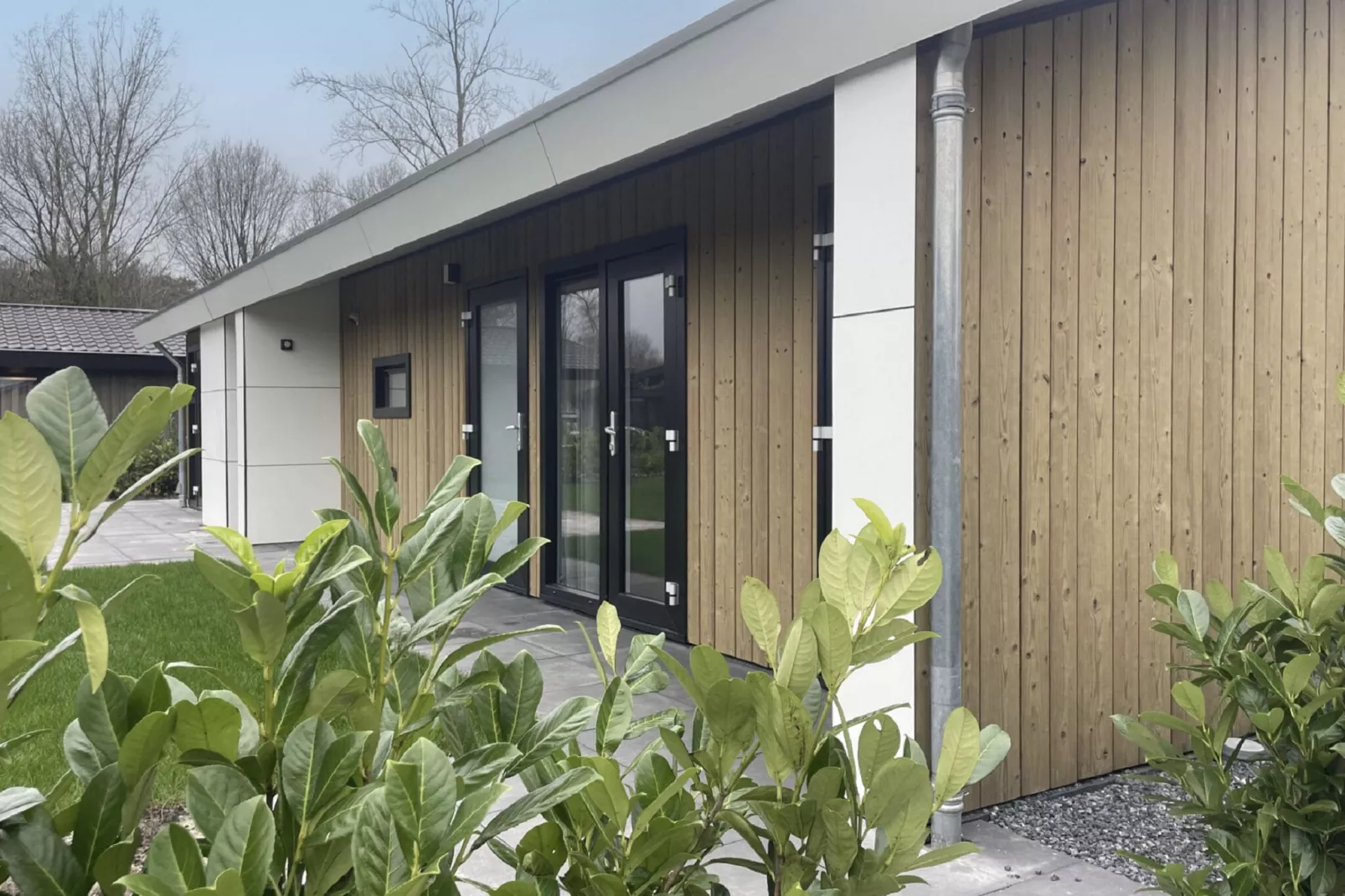 Vakantiepark Molenvelden 11-Exterior summer