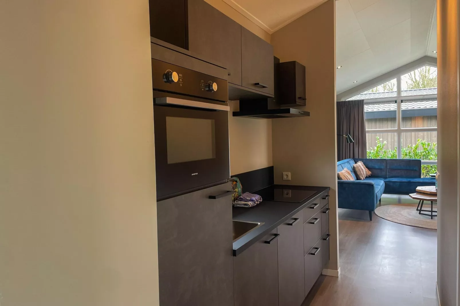 Vakantiepark Molenvelden 11-Kitchen