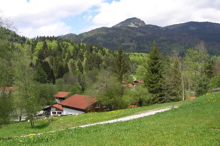 99464-Terrace