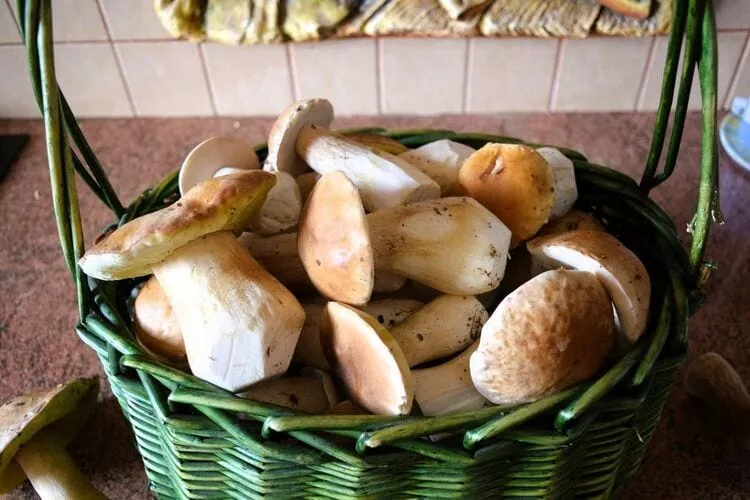 Pensjonat w lesie-Cuisine