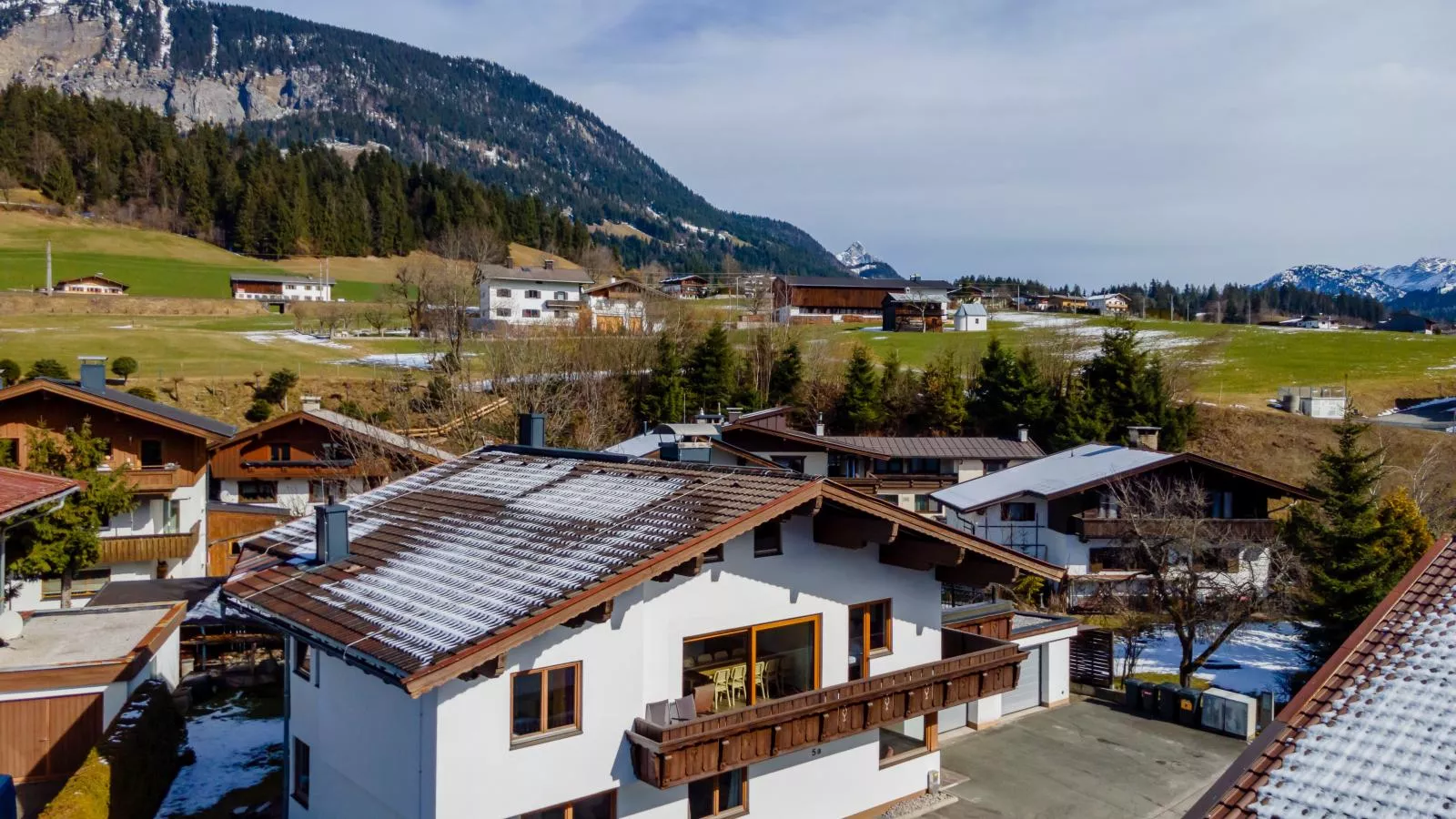 Wald XXL-Exterior winter