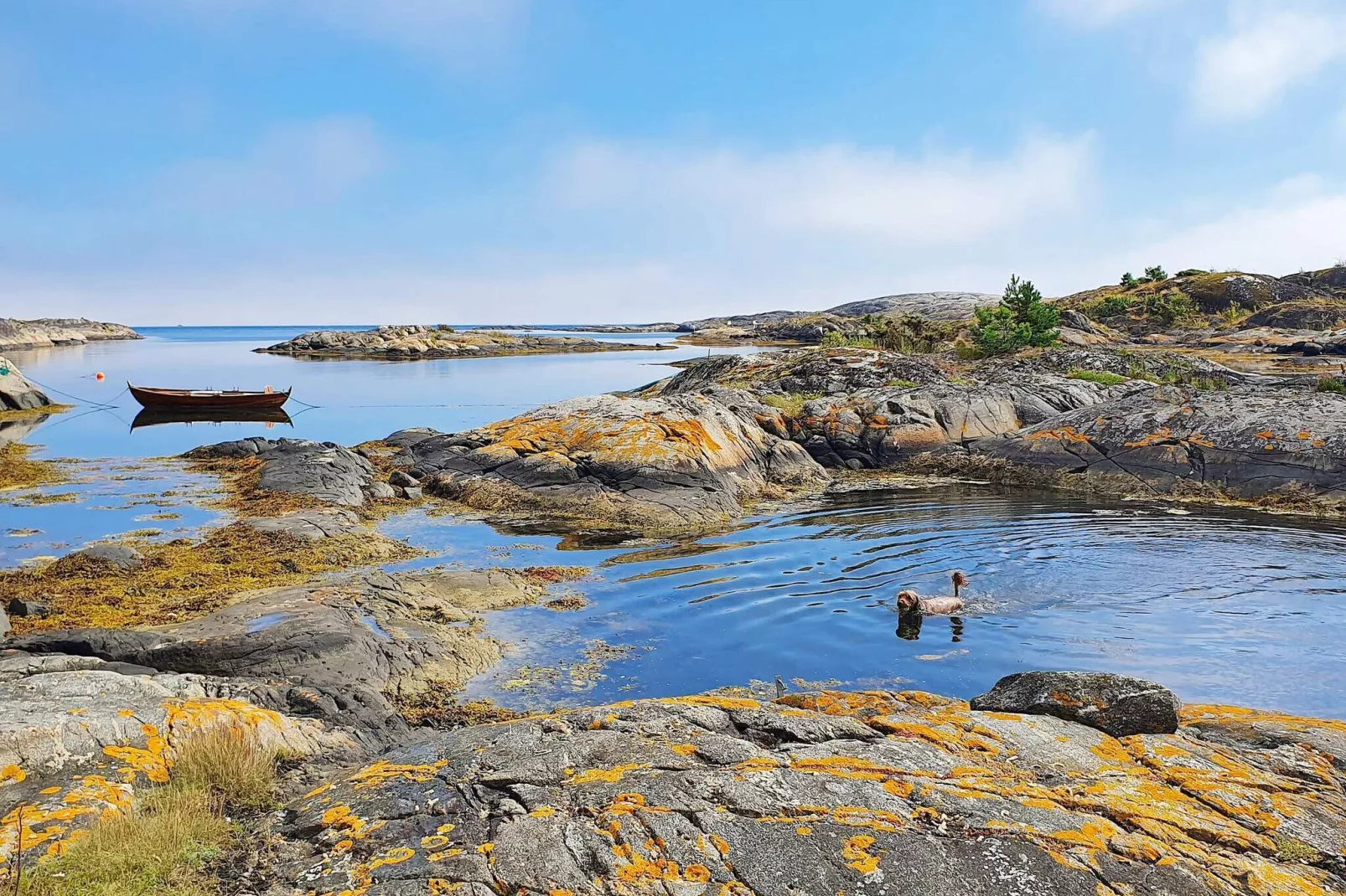 8 person holiday home in Risør-By Traum-Not tagged