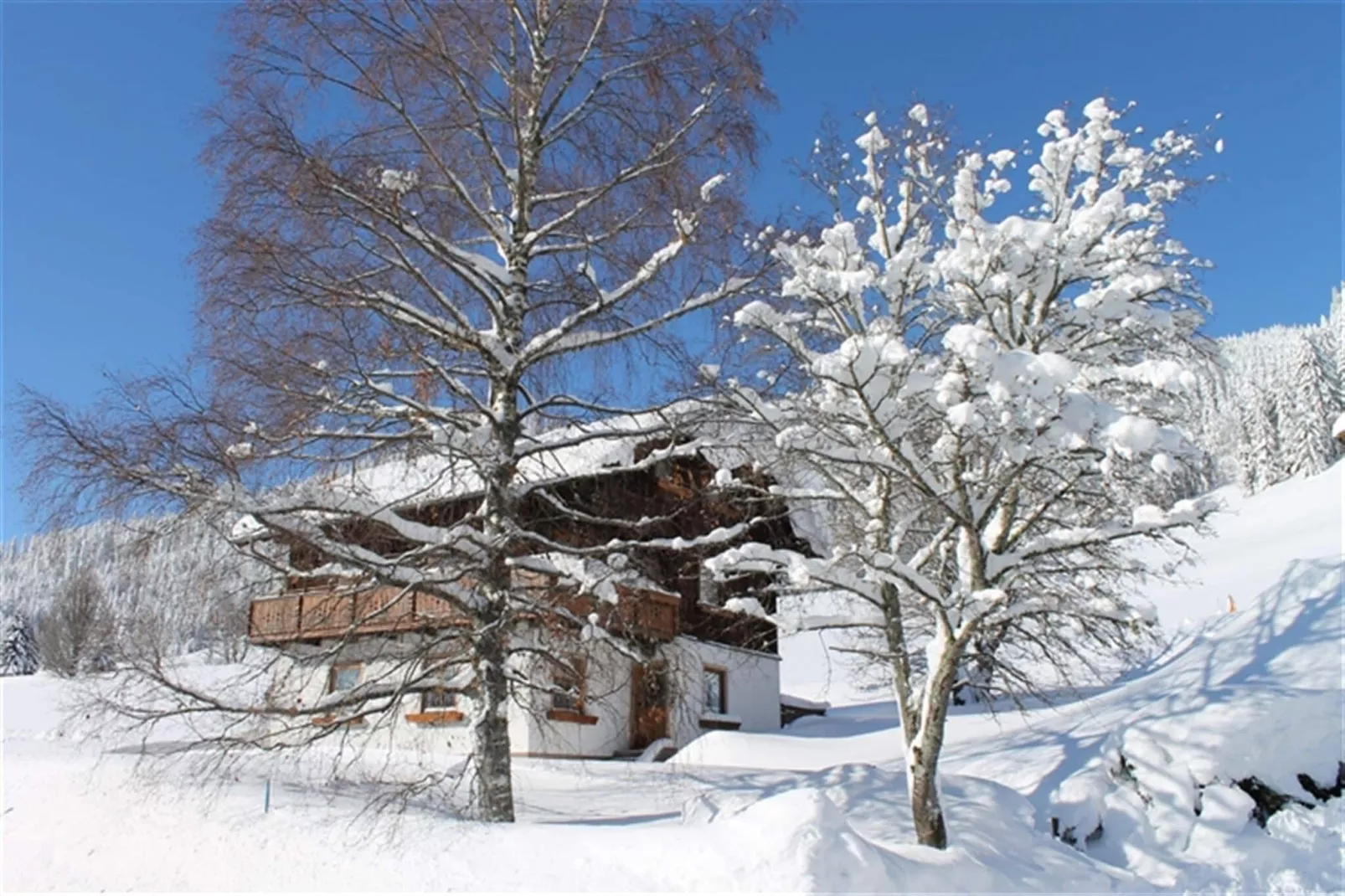 Ferienhaus Dachsteinheim-Exterior winter