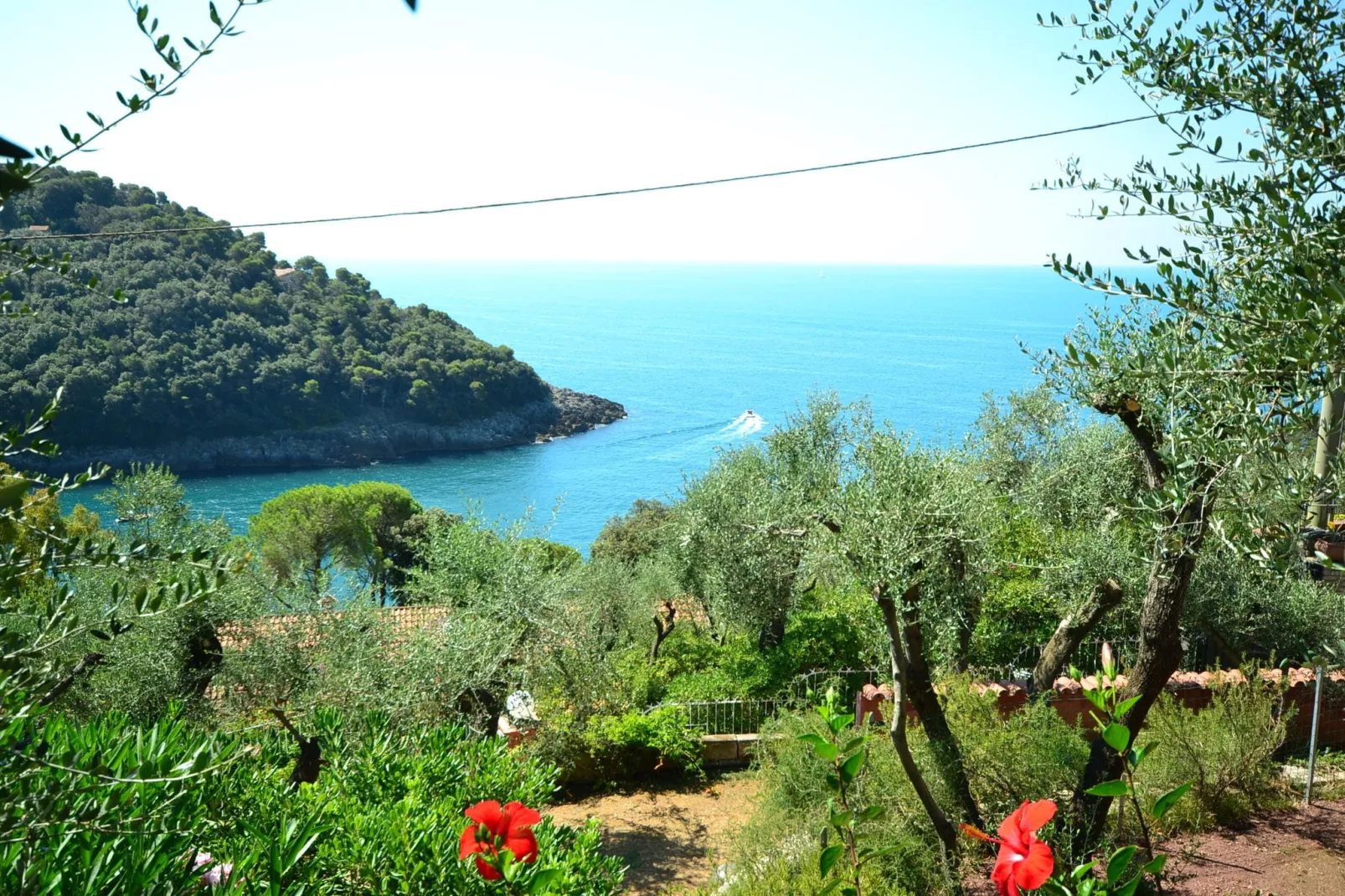 Villa Shakti-View summer