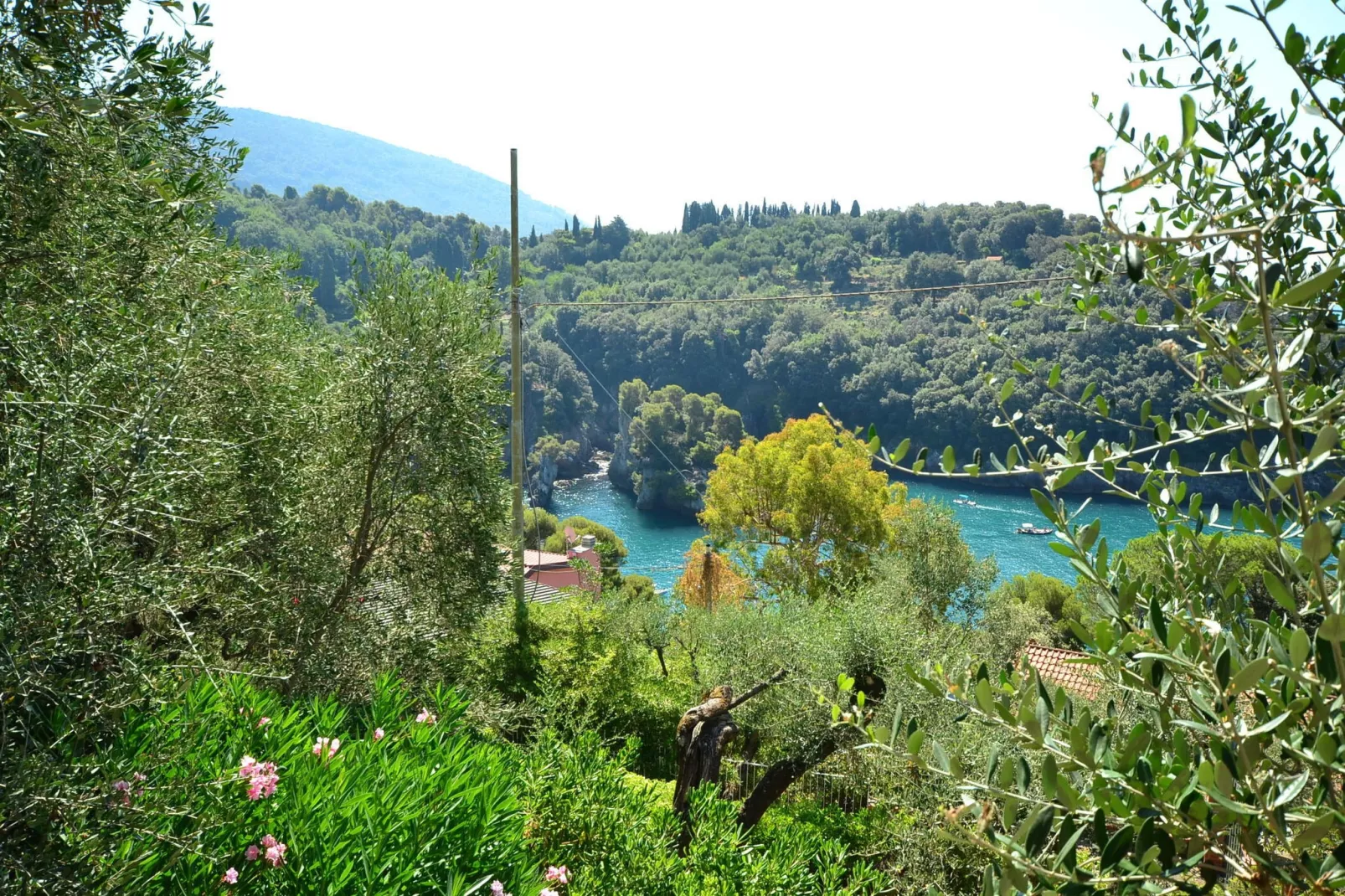 Villa Shakti-View summer
