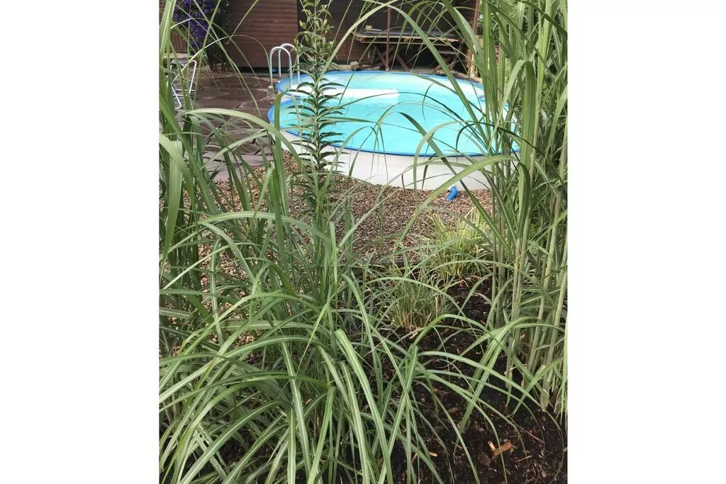 236082-Pool