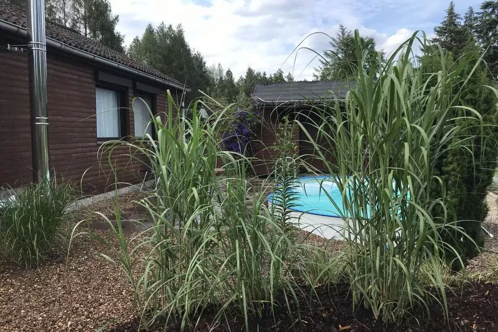 236082-Pool