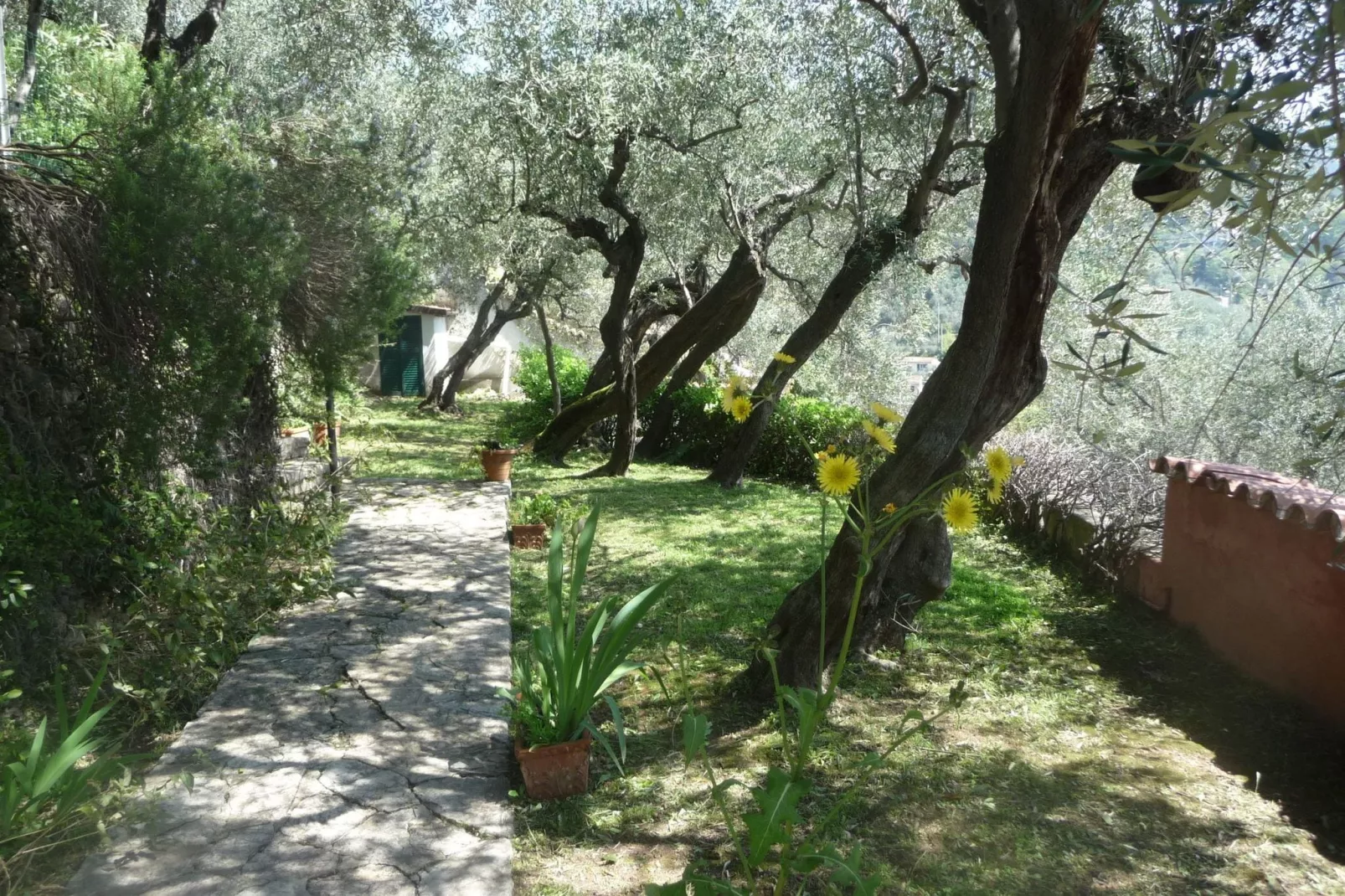 Villa Shakti-Gardens summer
