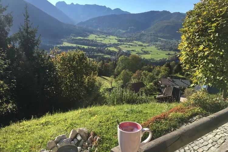 266559-View