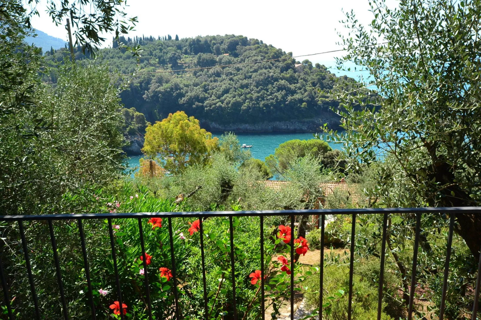 Villa Shakti-View summer