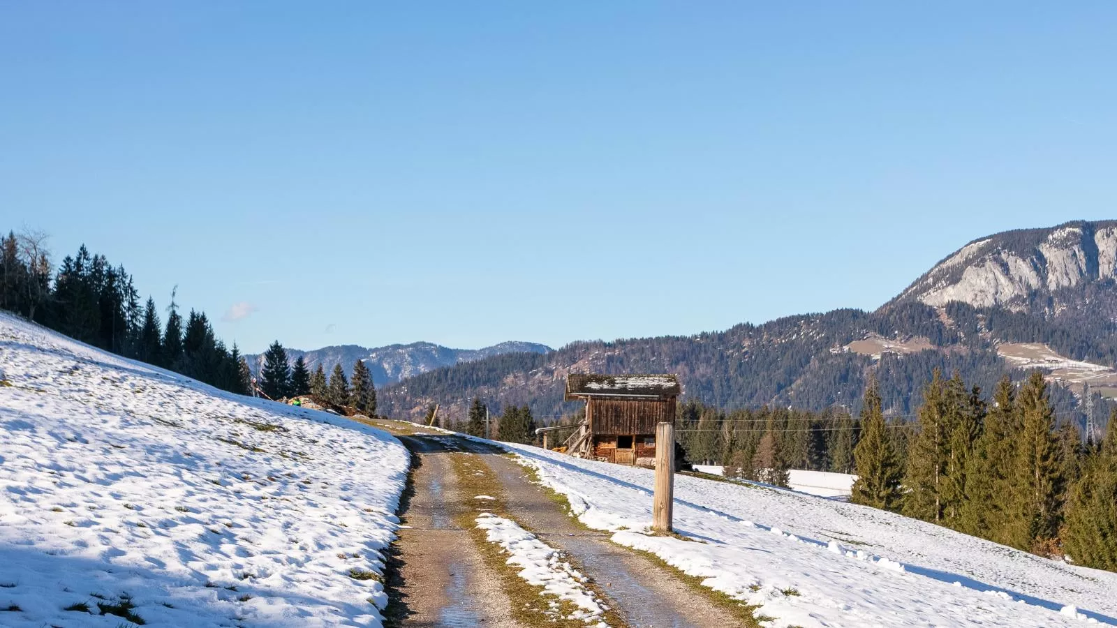 Ralser-Area winter 1km