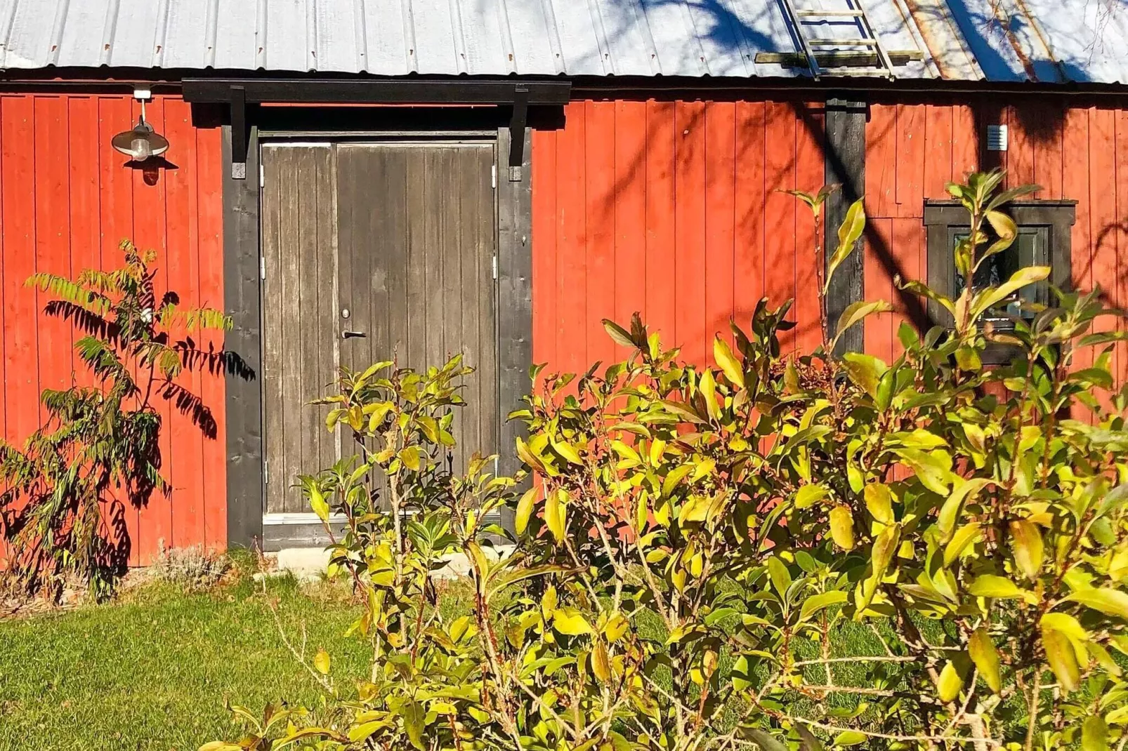 5 star holiday home in BORGHOLM-By Traum-Outdoor