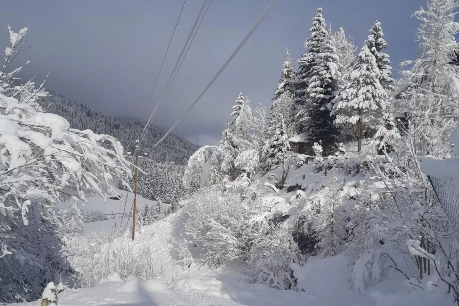 Haus Rathgeb-Area winter 1km