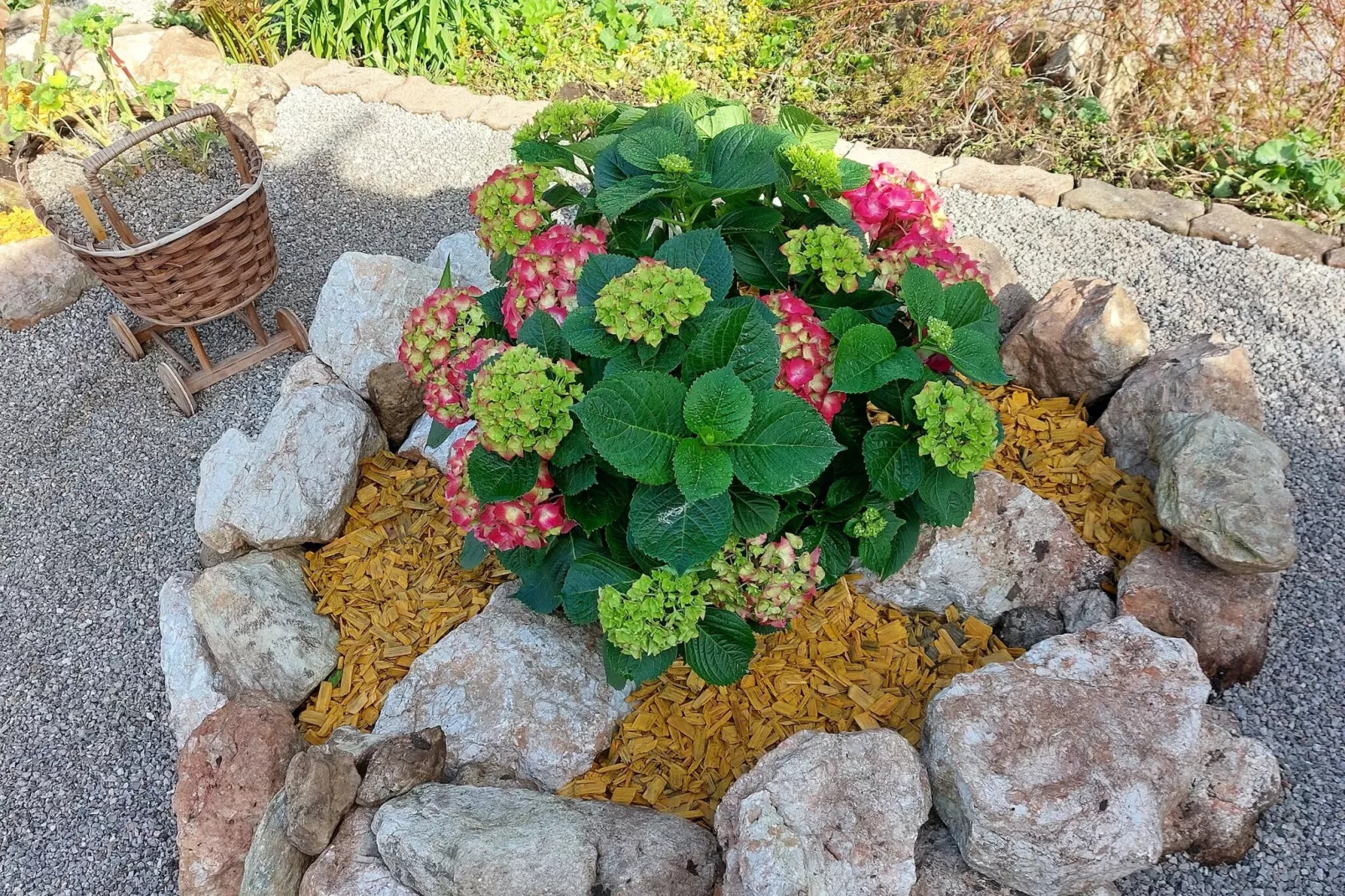 Haus Rathgeb-Gardens summer