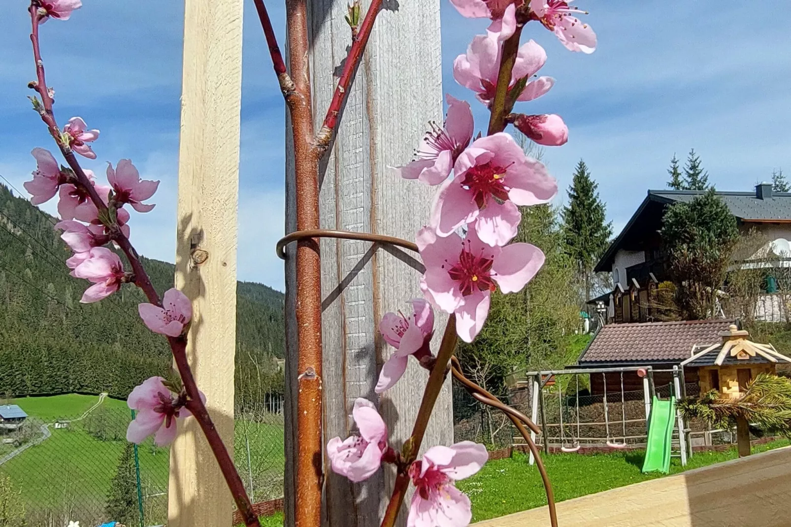 Haus Rathgeb-View summer