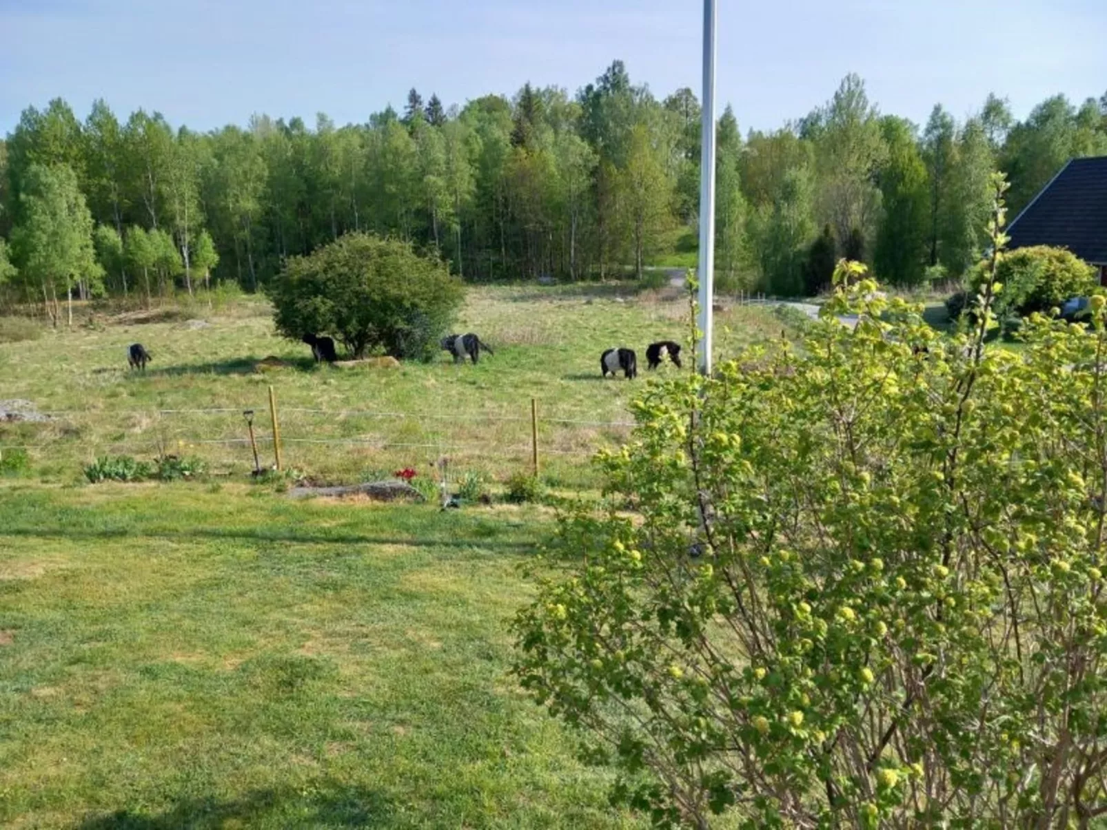 Skjutsmåla-Outside
