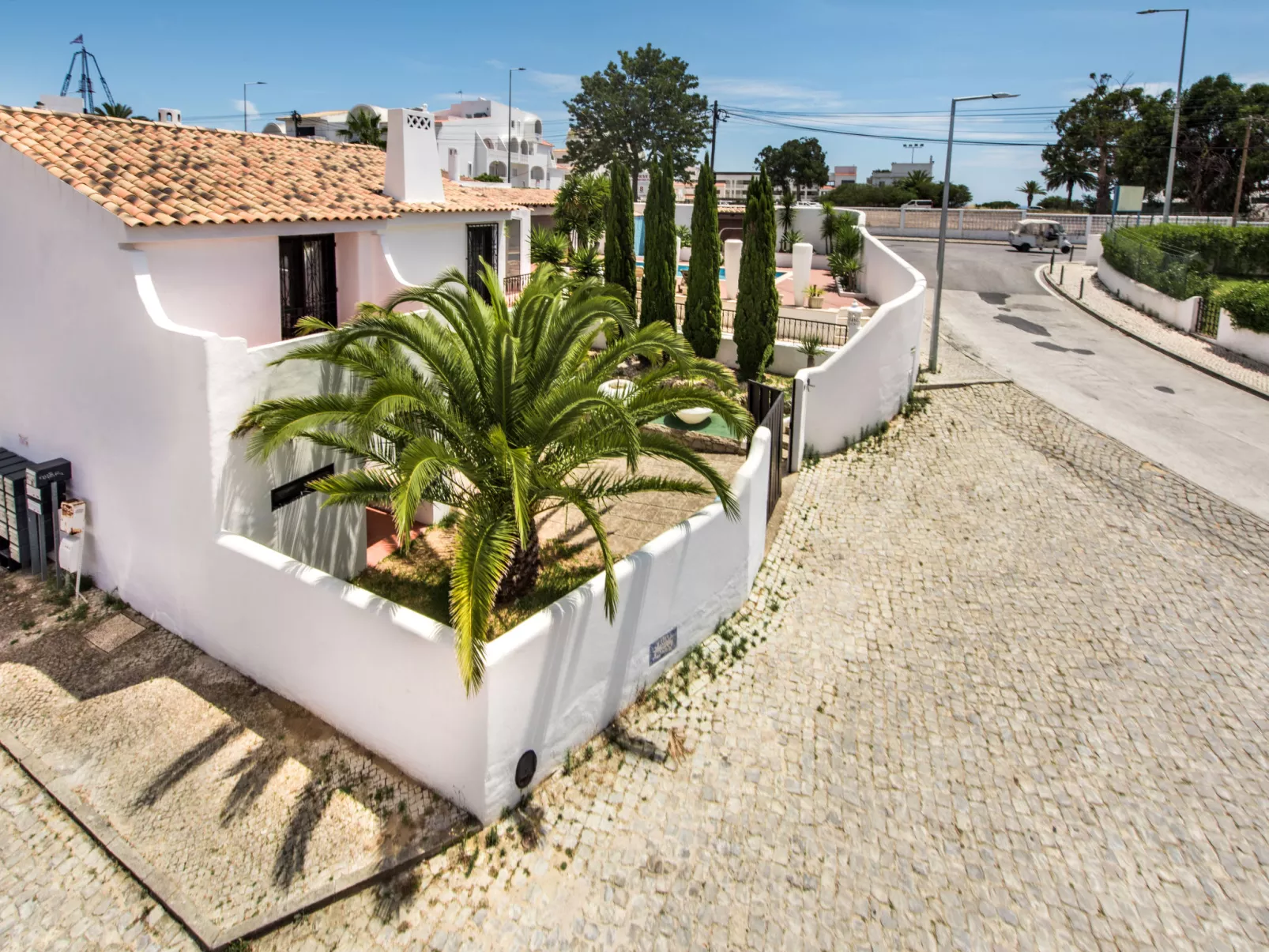 Yucca-Outside