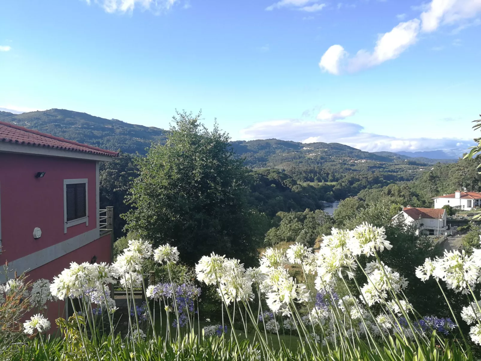 Rio Lima Retreat-Outside