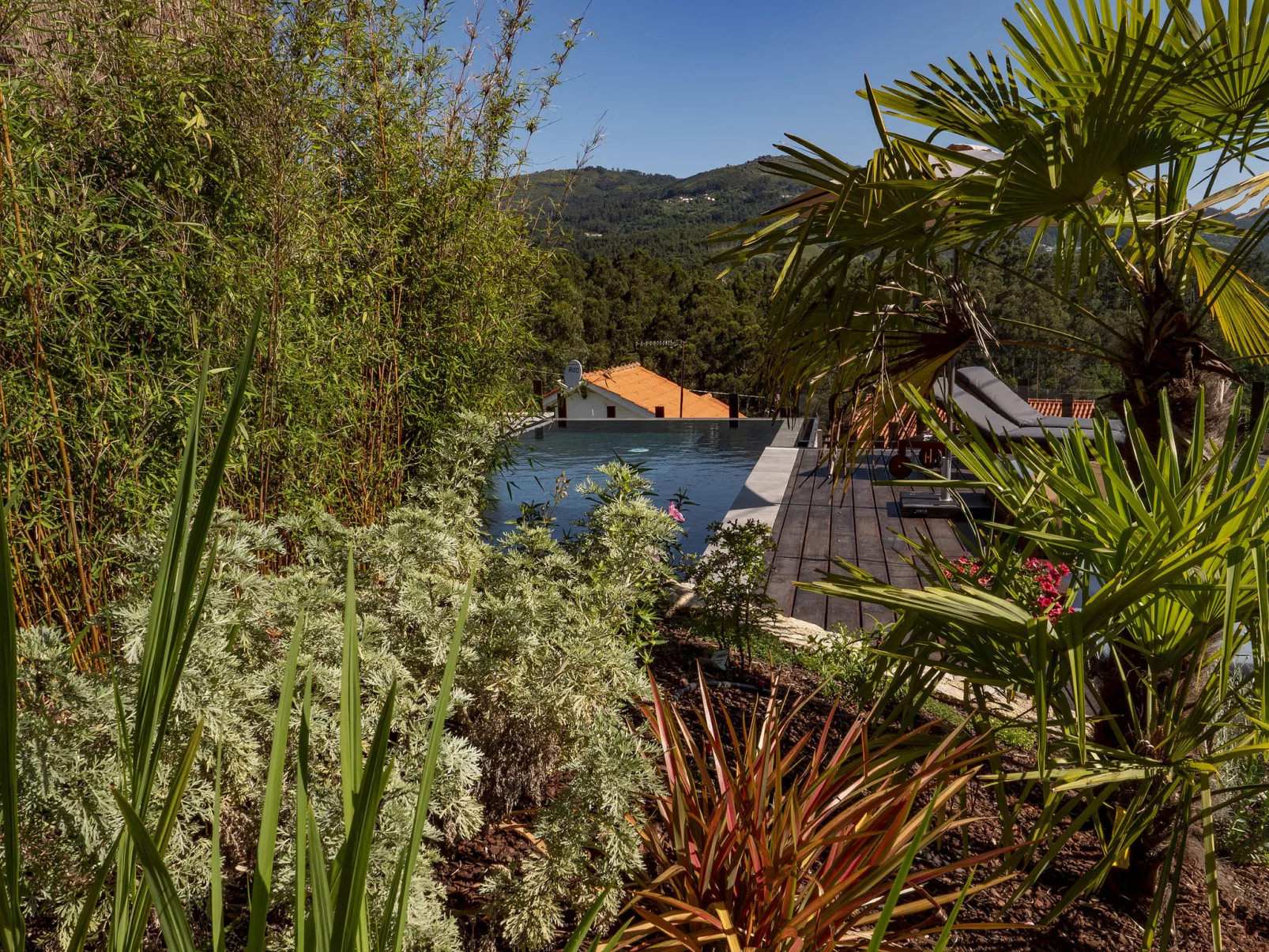 Rio Lima Retreat-Outside