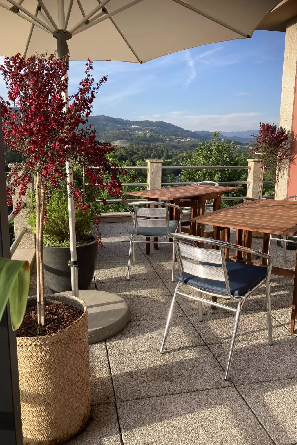 Rio Lima Retreat-Outside