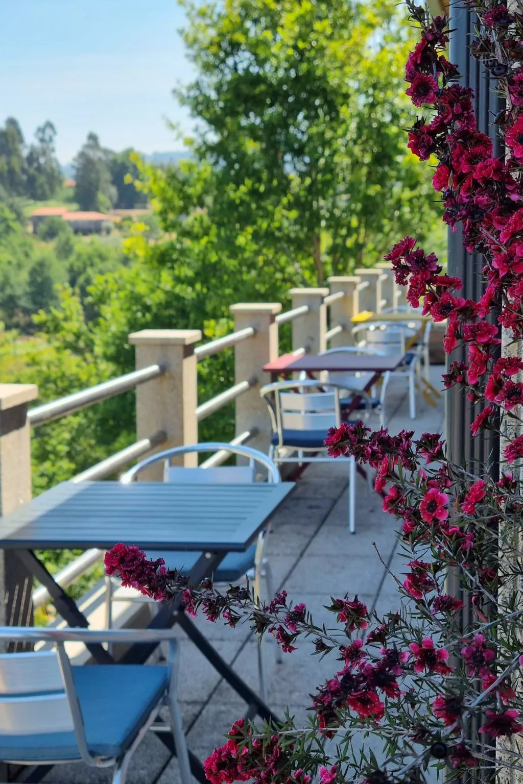 Rio Lima Retreat-Outside
